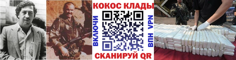 COCAIN Fish Scale  Купить закладки  Меленки 