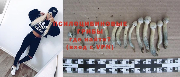 шишки Магас