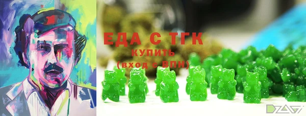шишки Магас