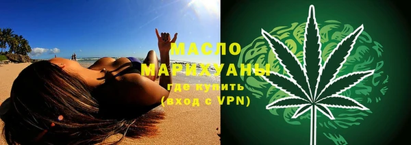 шишки Магас