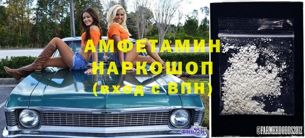 шишки Магас