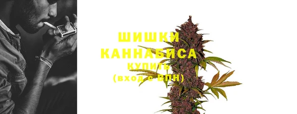 ПСИЛОЦИБИНОВЫЕ ГРИБЫ Майский