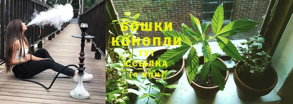 шишки Магас