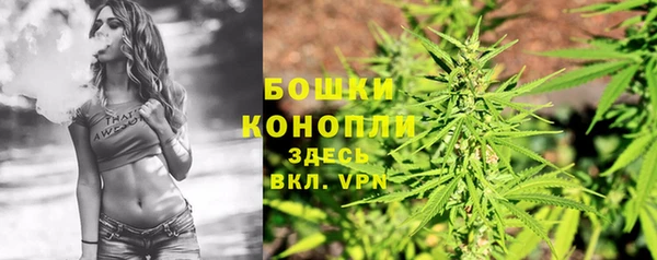 шишки Магас