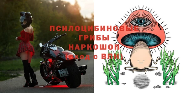 шишки Магас