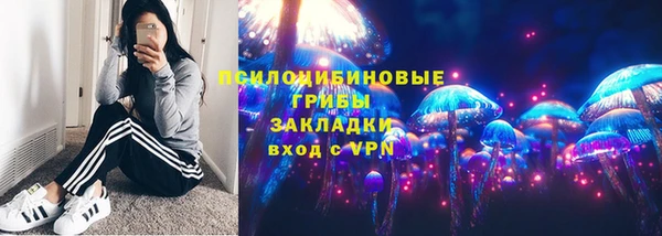 шишки Магас