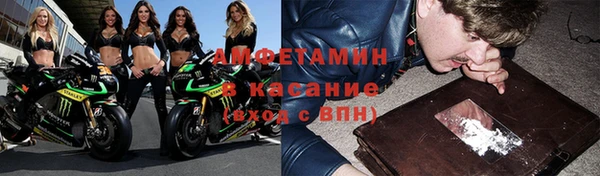 шишки Магас