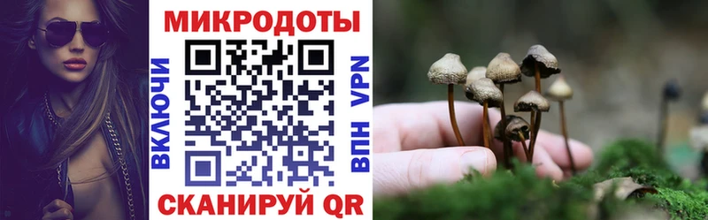 Купить где  Меленки  Галлюциногенные грибы мухоморы 